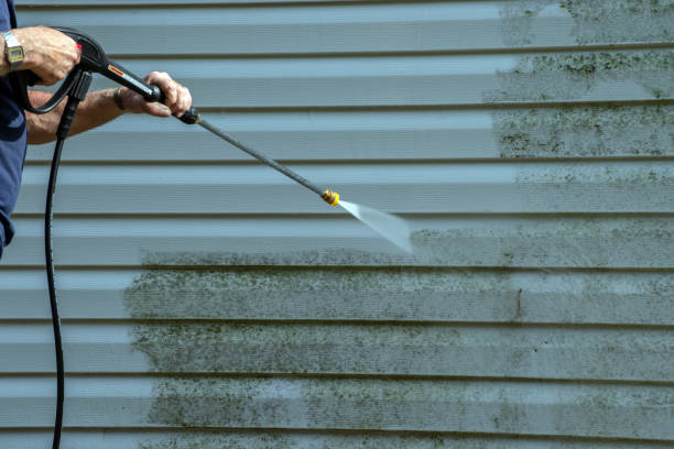 Best Paint Preparation  in Lyndhurst, VA