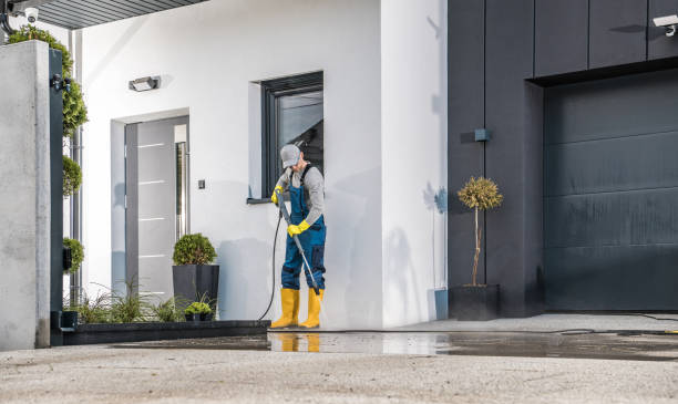 Animal Enclosure Cleaning in Lyndhurst, VA